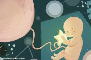 包生男孩第三代试管